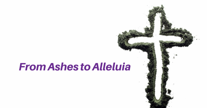 Naming the Wilderness