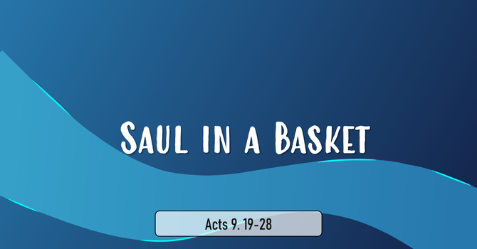 Saul in a Basket