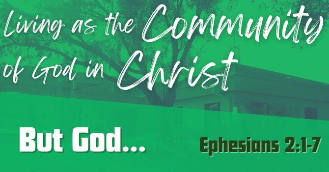 ZAC Weekly Devotional (Feb wk4)