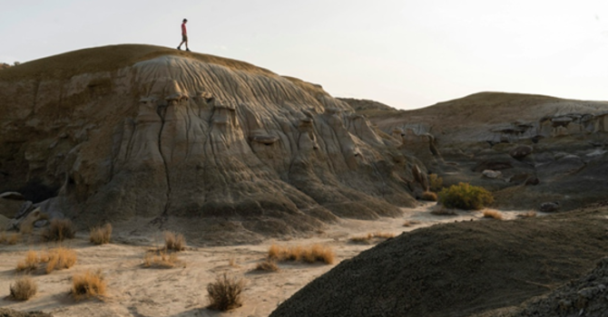 Rev. Karen's Reflection for February 22nd, 2026