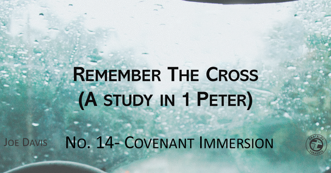 No.14- Covenant Immersion