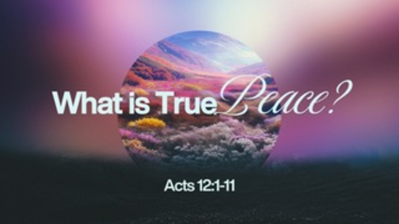 What Is True Peace