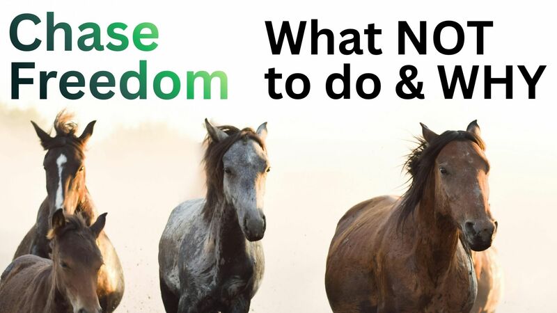 A Faith that Chases Freedom