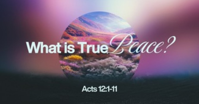 What Is True Peace