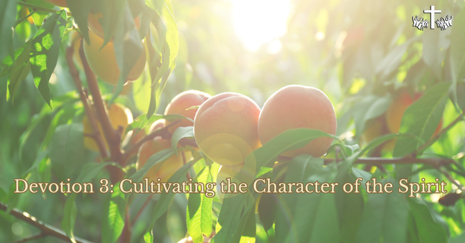 Devotion 3 "Cultivating the Character of the Spirit"  image