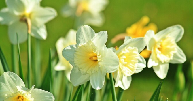 March 2026 Messenger image