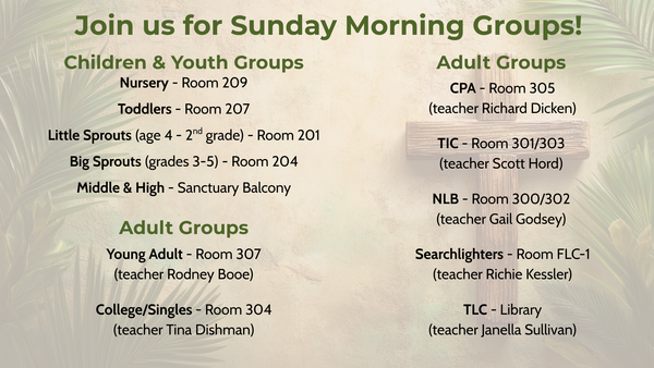 Sunday Morning Bible Studies