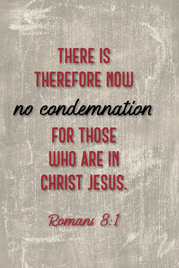 Fighter Verse | February 22, 2026