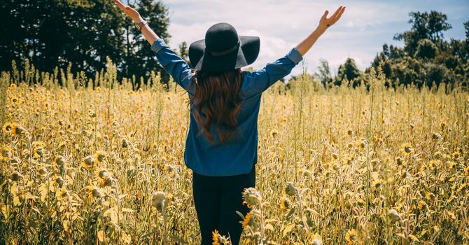 What 20 Years Can Do image