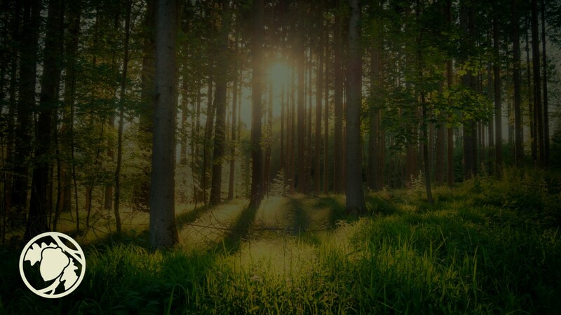 Ambassadors Of Christ