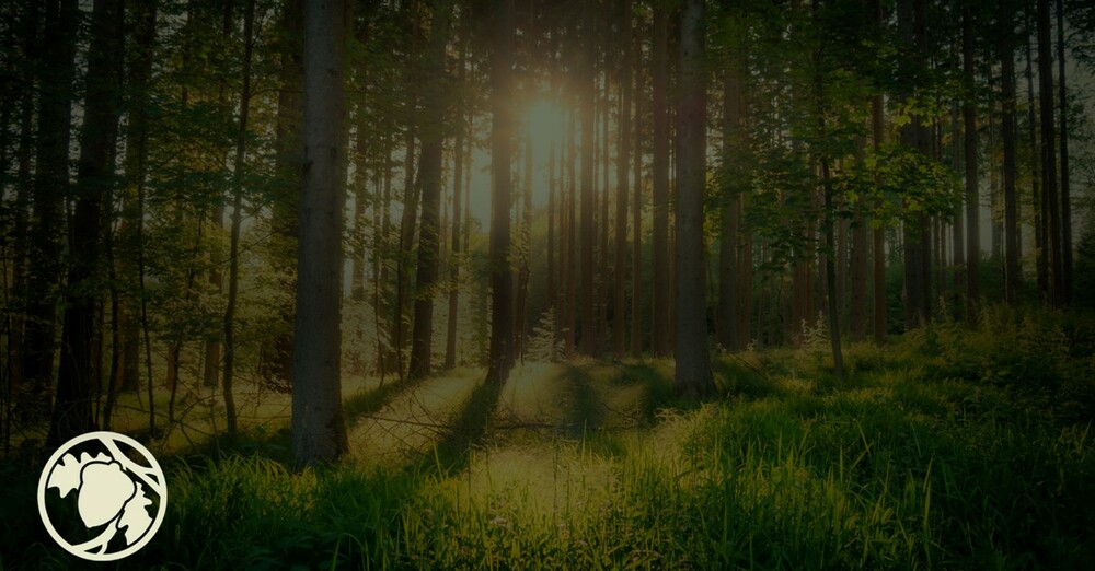 Ambassadors Of Christ