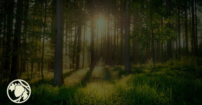 Ambassadors Of Christ