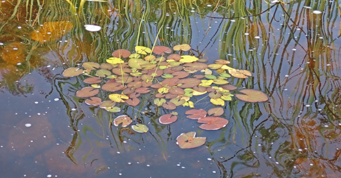 Worship Service- February 22, 2026