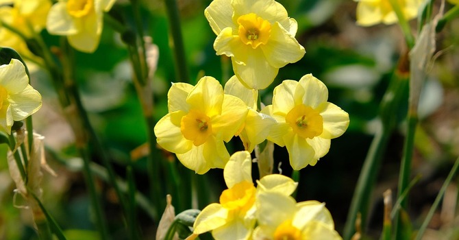 February 25, 2026 Devotion image