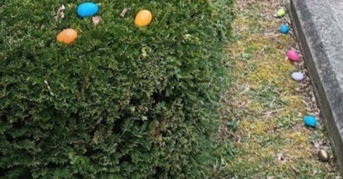 Easter Egg Hunt