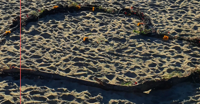 Fifth Sunday of Easter image