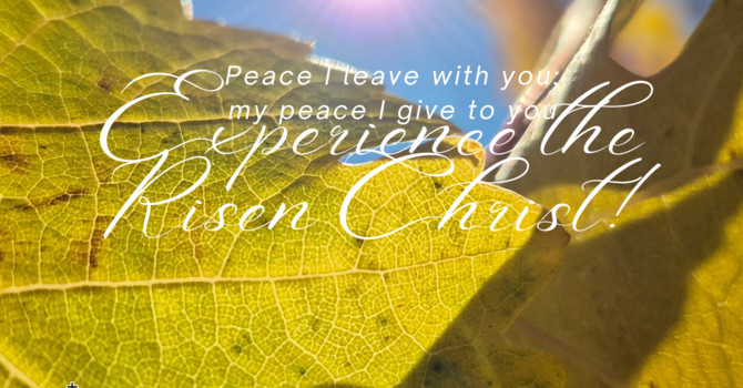 Sixth Sunday of Easter image