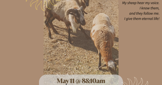 Fourth Sunday of Easter image