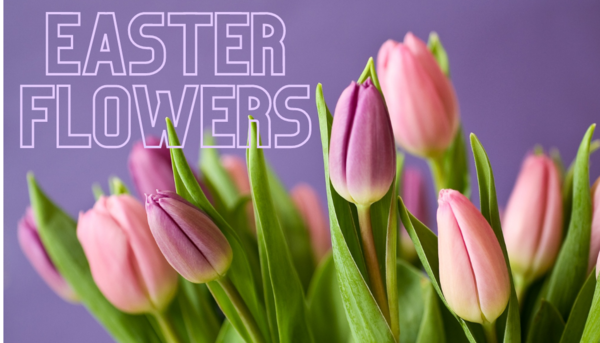 Easter Flowers