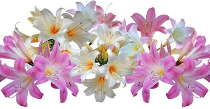 Holy Week and Easter Services Schedule image