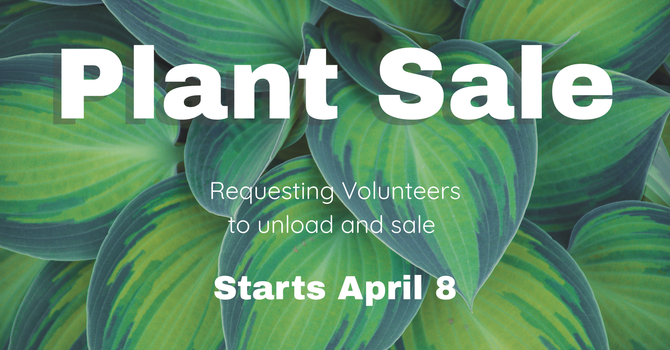 Annual Plant Sale