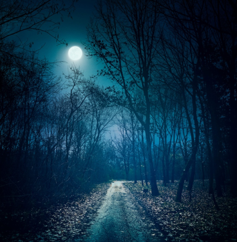 Rev. Karen's Reflection for March 1, 2026