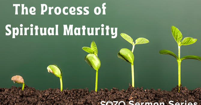 The Road to Recovery