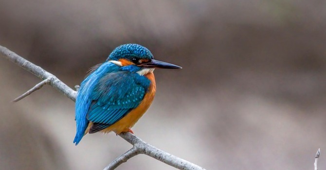 February 26, 2026 Devotion image