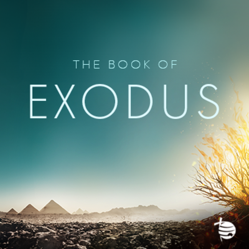 The Fear and Worship of God