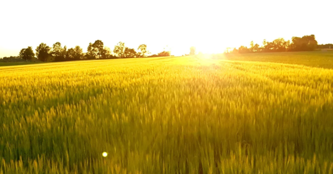 When the Season Changed and We Did Not image