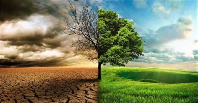 Understanding Ourselves:  The Anglican Faith image