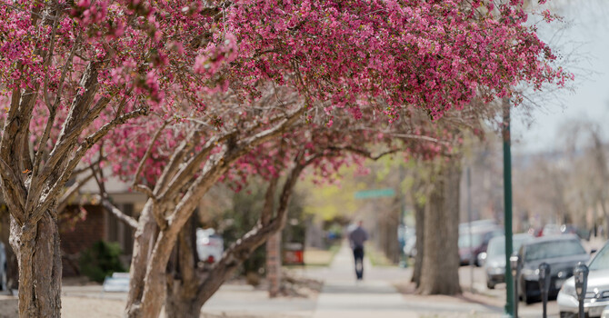 What Do We Do with the Evil Before Us?