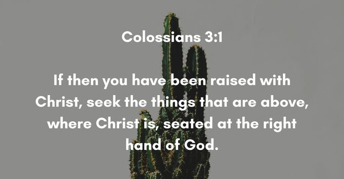 Colossians 3:1 image