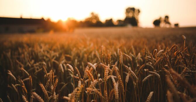 Holy Boldness Romans 15:14-21 Part 3