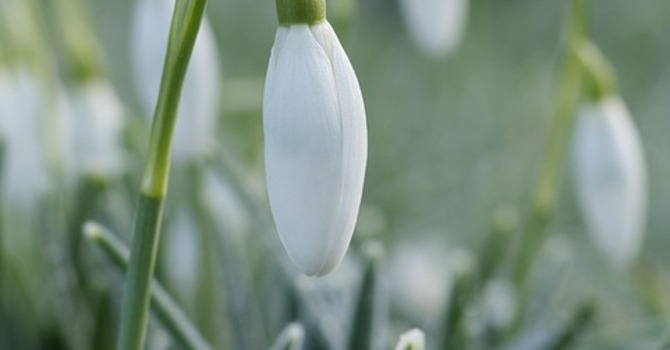 February 27, 2026 Devotion image