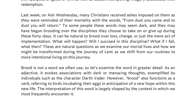 PASTOR JERI'S WEEKLY LETTER, FEBRUARY 24, 2026 image