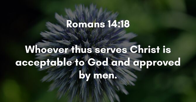 Romans 14:18 image