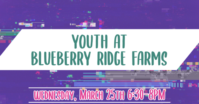Youth at Blueberry Ridge Farm