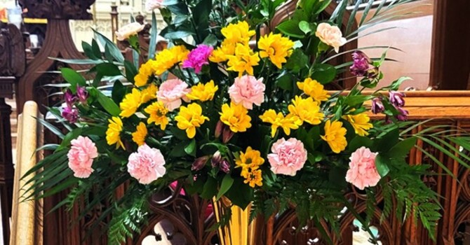 Flowers in the Sanctuary