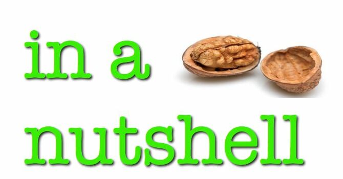 In a Nutshell image
