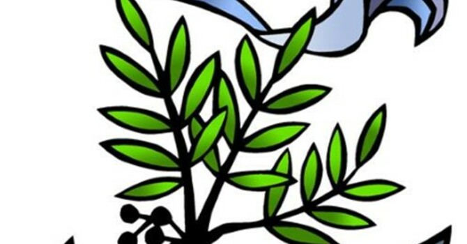 Sunday, March 1, 2026 - Second Sunday in Lent