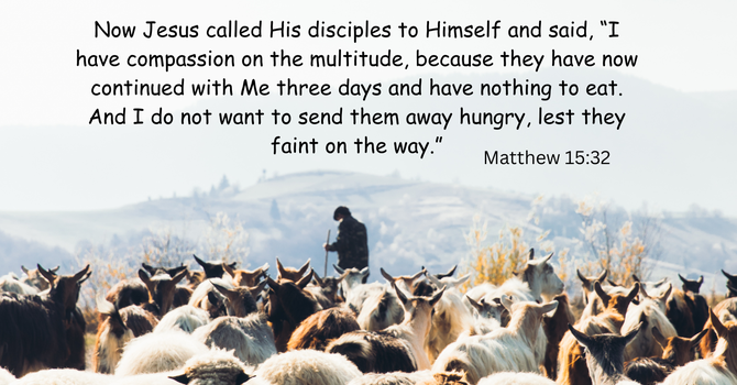 Compassion Feeds and Provides!