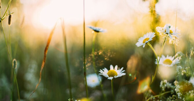 March Newsletter image