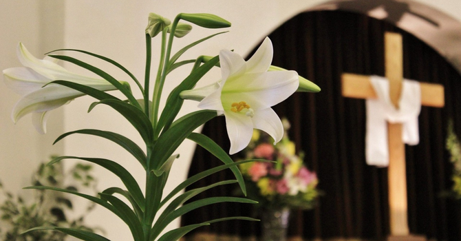 March/April 2026 Peter's Net image