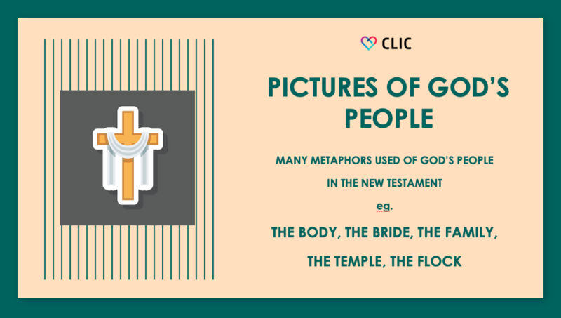 The Church: The Flock of God