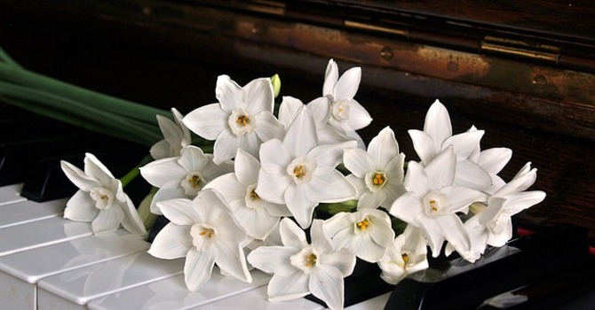 March 1, 2026 Devotion image