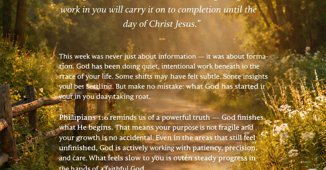 Purpose Is Taking Root image