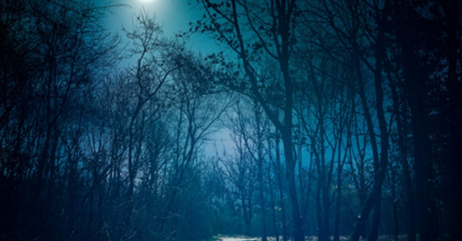 Rev. Karen's Reflection for March 1, 2026