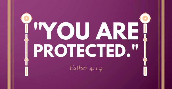 You Are Protected