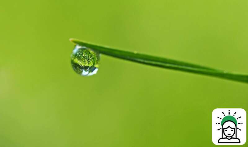 Worship: "Be Still & Know..."